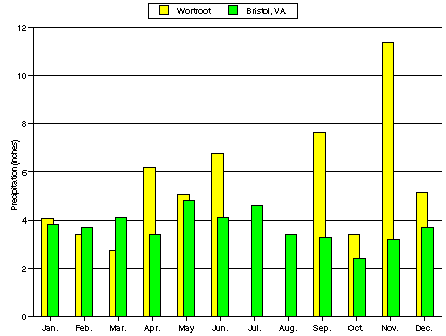 Rainfall